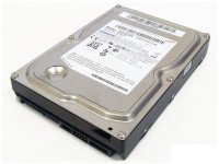 500GB SATA (Samsung HD503HI)