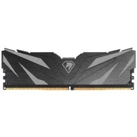 Оперативная память Netac Shadow II, DDR5, 16GB (1x16 GB), 6000 MHz, CL38, DIMM, радиатор, черный [NTSWD5P60SP-16K]
