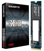 256GB; SSD; M.2; GIGABYTE V2; 3200/1200MB/s; TBW 100Tb; [G3NVMEV2256G]