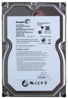 750GB SATA (Seagate ST3750525AS)